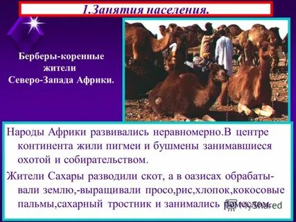 История африки презентация