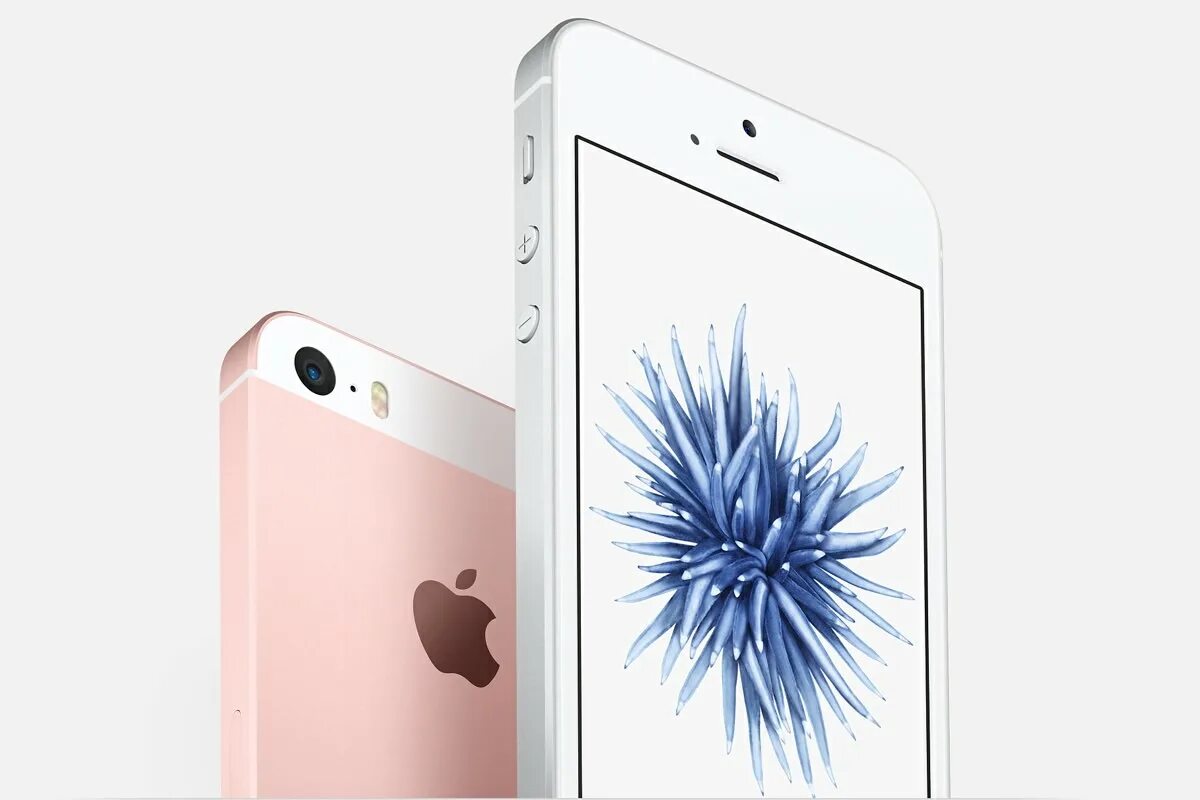 Apple iphone se 1 поколения. Айфон се 2020 серебристый. Дата выхода se 1. Iphone se plus 2021. Айфон se 2 плюс.