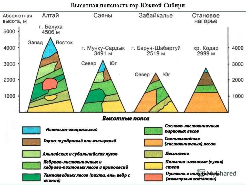 Высотная поясность Кавказа таблица. Схема ВЫСОТНОЙ поясности Юга Сибири. Схема ВЫСОТНОЙ поясности гор Южной Сибири. Высотная поясность Юга Сибири.