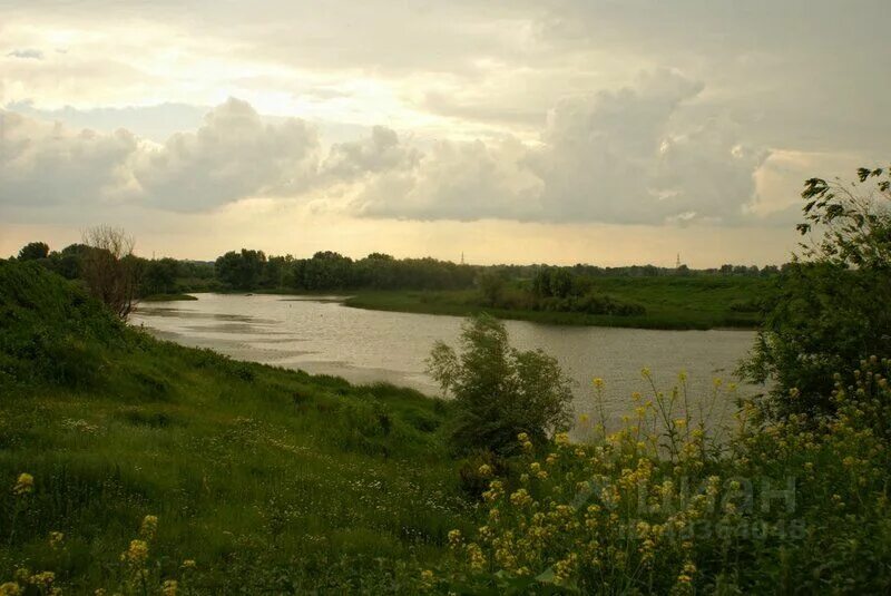 Никольское река. Село Никольское Самарская область. Никольское Безенчукский район. Село Никольское Безенчукского района. Река Безенчук Самарская область.