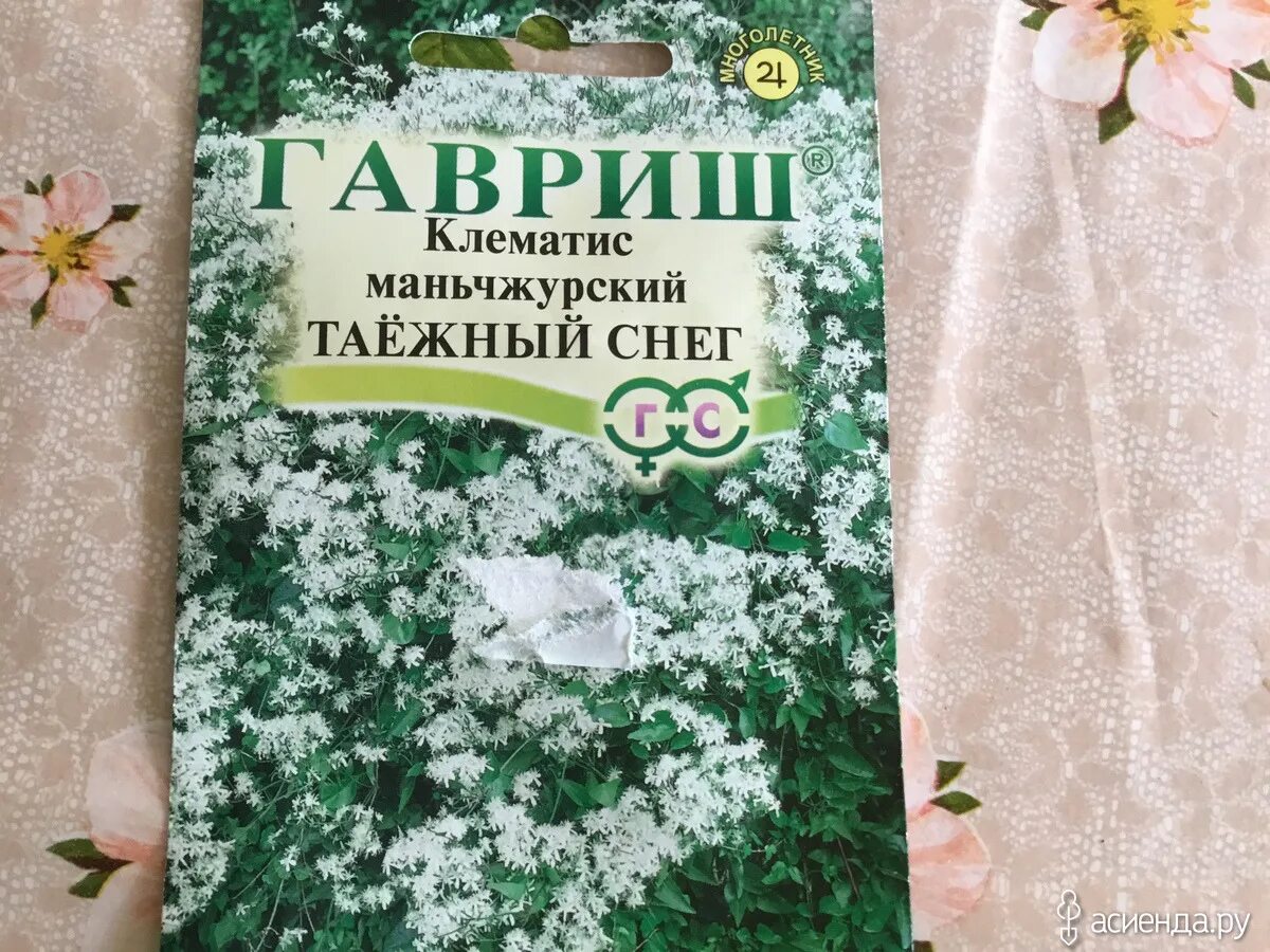 клематис маньчжурский | mandschurica. клематис таежный снег. клематис ломонос жгучий. клематис манчжурский таежный снег 0. 05г гавриш.