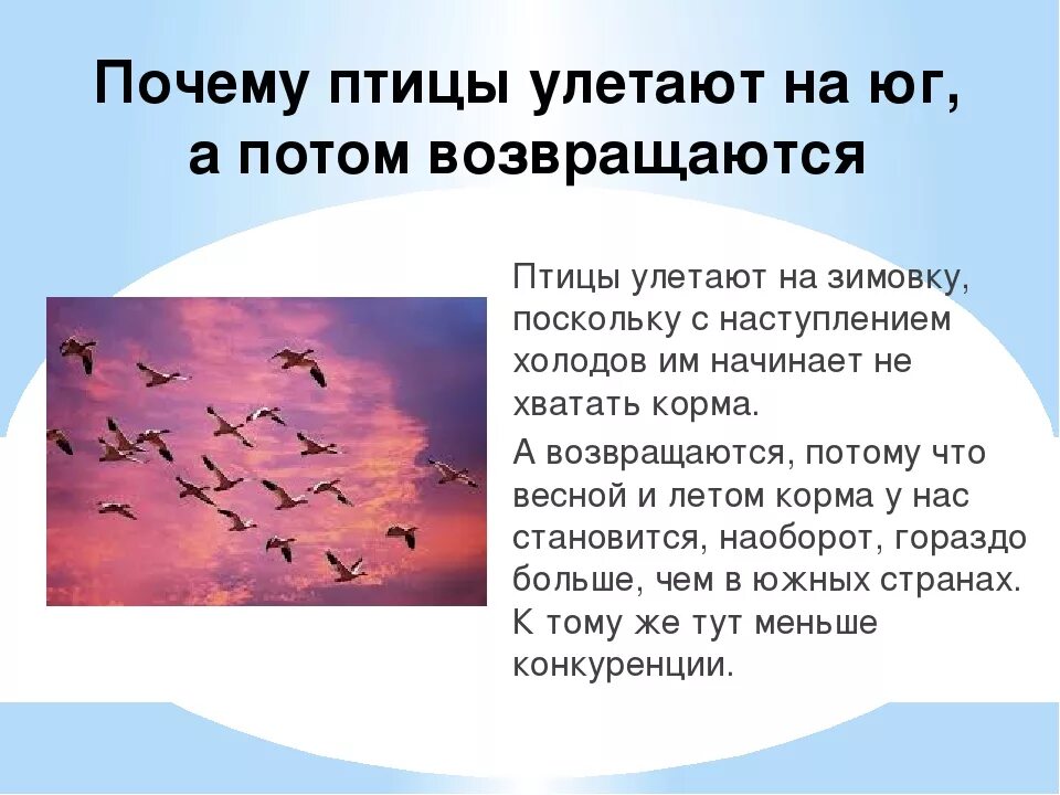 Улетели какое время