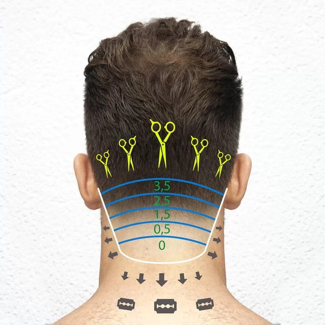 Тейп фейд стрижка. Тейпер фейд схема. Стрижка фейд мужская схема. Фейд кроп стрижка схема. Barber am