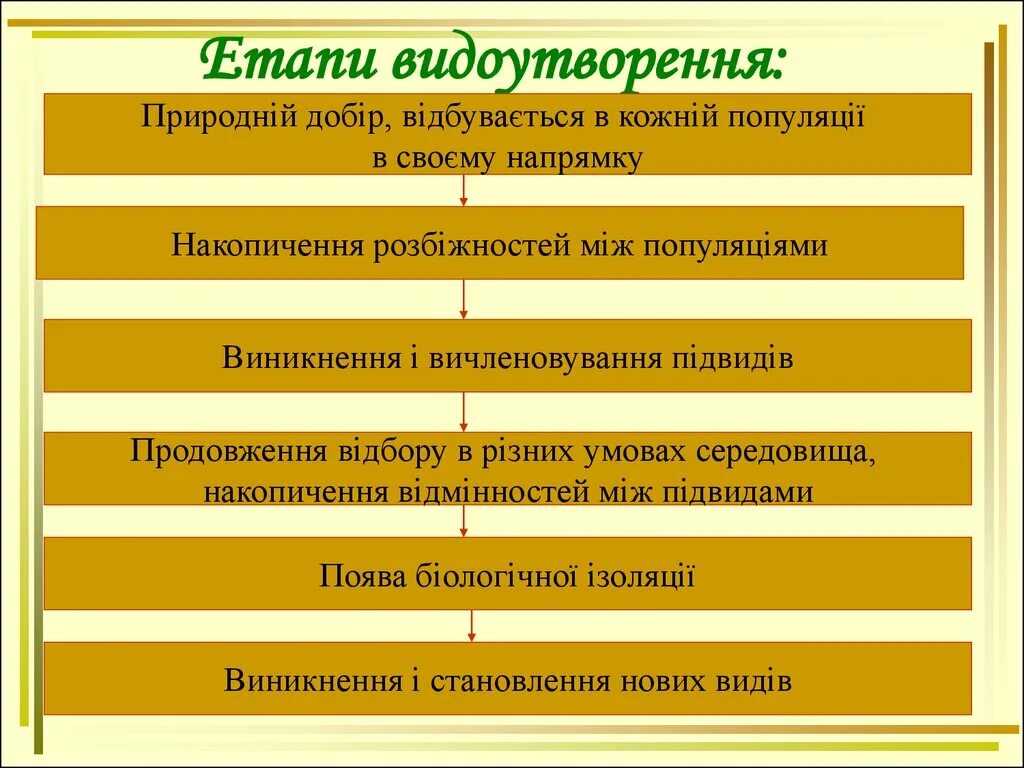 Установите последовательность образования новых видов в природе. Этапы экологического видообразования биология 9 класс. Этапы видообразования биология 11 класс. Этапы биологического видообразования. Последовательность этапов естественного отбора.