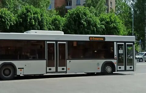 11 автобус сосновый бор