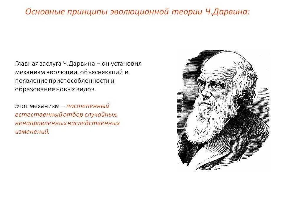 Ученые современной теории эволюции. Эволюционные идеи Дарвина. 26. Эволюционное учение ч. Дарвина.. Эволюционная теория Чарльза Дарвина. Эволюционная теория Дарвина.