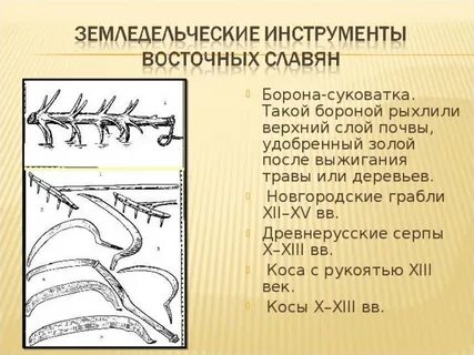 Земледельческие племена