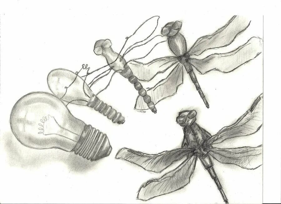 Трансформация рисунок. Стилизация бионических форм насекомых. Трансформация рисунок. Трансформация рисунок. Стилизация и трансформация форм.