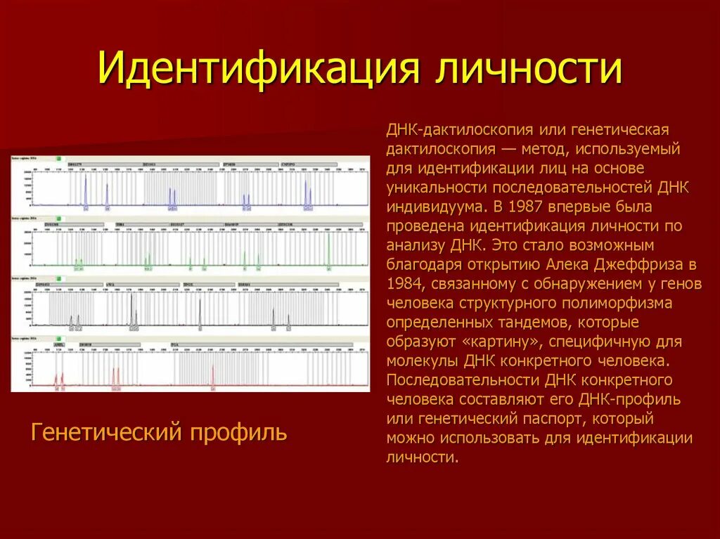 Метод днк идентификации. ДНК дактилоскопия. Идентификация личности. Методы идентификации личности. Метод геномной дактилоскопии.