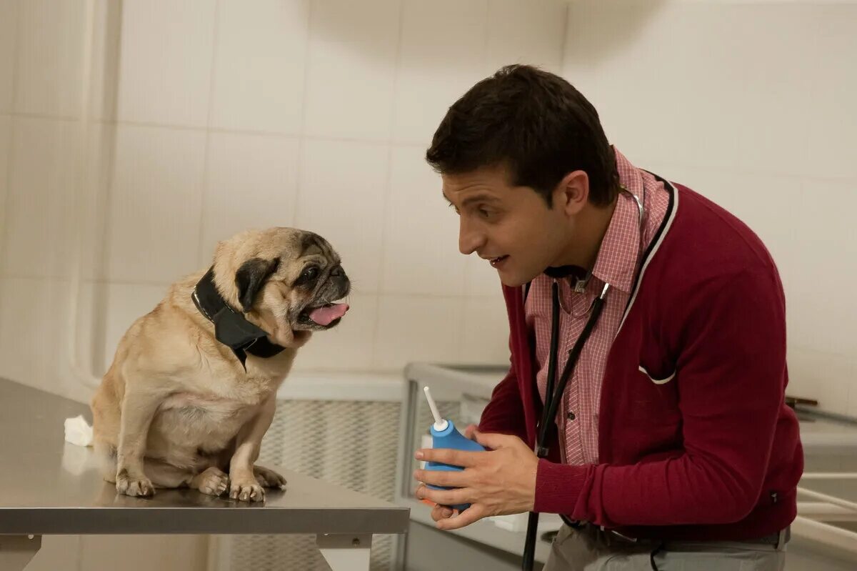 Можно собаку делать клизму. Можно собаку делать клизму. Можно собаку делать клизму. Можно собаку делать клизму. Можно собаку делать клизму.