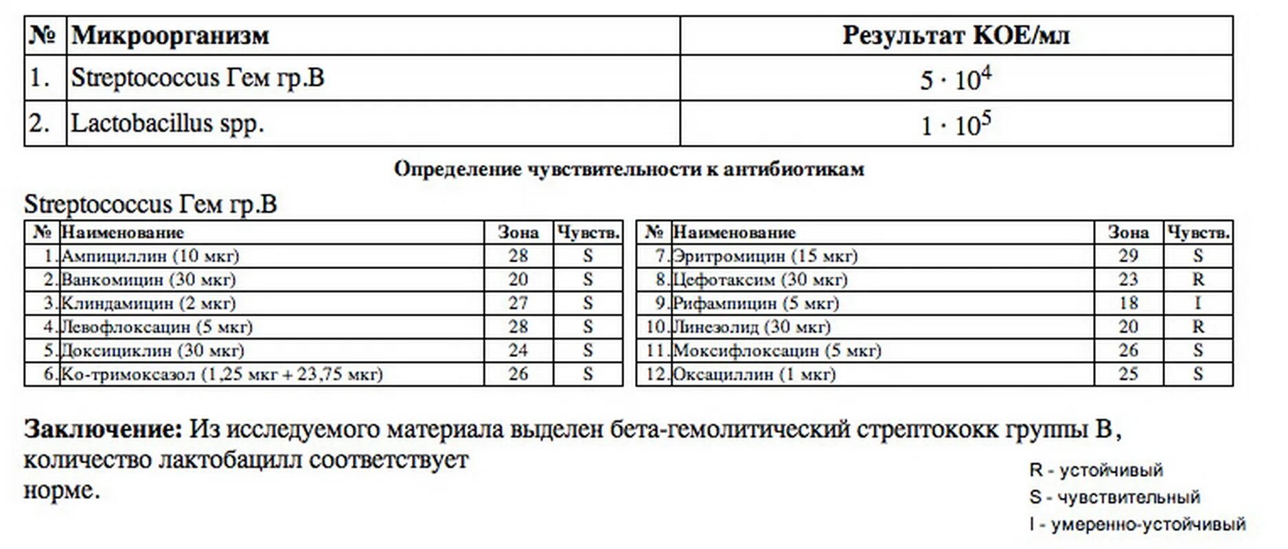 Посев мочи результат расшифровка. Бак посев мочи Результаты расшифровка. Бак посев результат норма. Бак посев мочи Результаты расшифровка таблица. Бак посев мочи расшифровка результатов у детей.