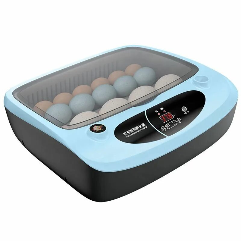 Инкубатор для яиц автоматический домашний. Инкубатор Egg incubator. Инкубатор для яиц на 64 яиц Smart household small incubator. Инкубатор смарт Сорка. Инкубатор синий 256.