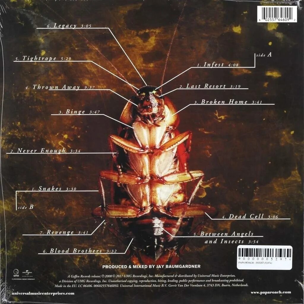 Roaches перевод песни. Группа папа роуч. Roaches перевод песни. Roaches перевод песни. Roaches перевод песни.