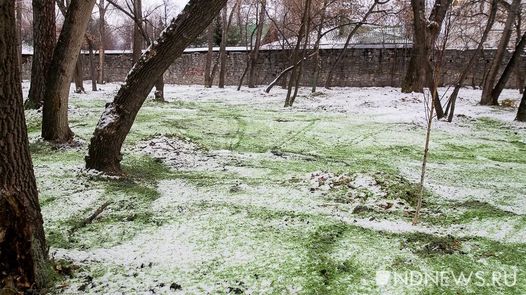 Погода зеленая роща ульяновский район. Женя зелёная роща фото.
