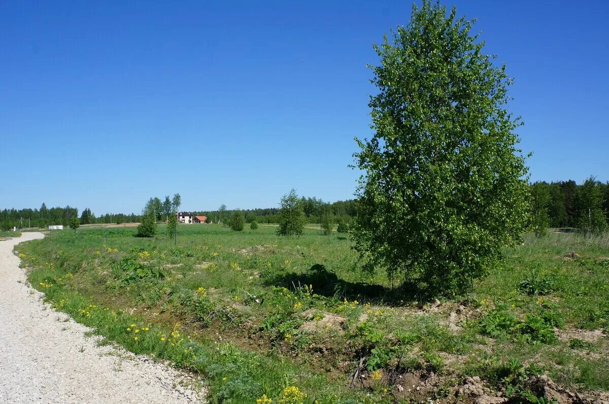 Глазово под павловском. Село глазово ярославская область. Глазово архангельская область. Область глазово. Область глазово.