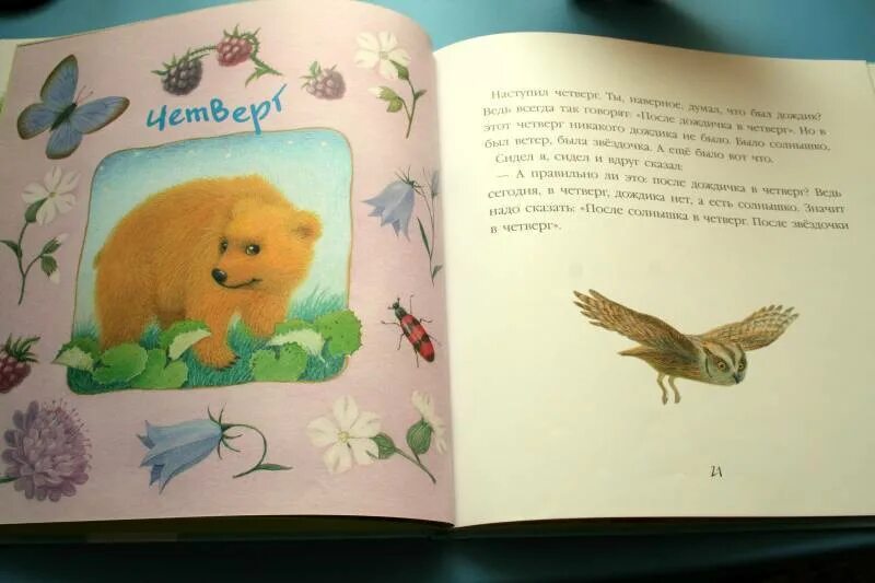 Дневник медвежонка книга. Дневник медвежонка. Цыферов дневник медвежонка читательский дневник. Дневник медвежонка книга. Дневник медвежонка книга.