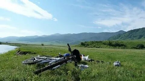 Погода с солоновка алтайского края