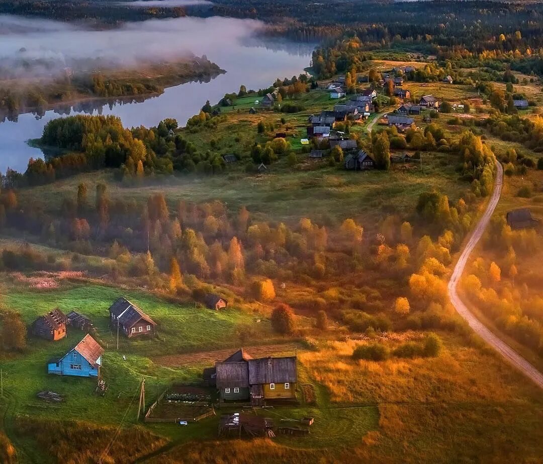 Деревни ленинградской области. Вепсский лес деревня Ярославичи. Федор Лашков Вепсский лес. Казыченская Подпорожский район. Вепсский лес Подпорожский район.