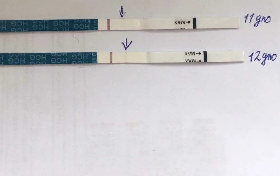 Расшифровка теста на беременность. Слабоположительный тест на беременность. Слабоположительные тесты на беременность после задержки. Тест на беременность аттест слабоположительный. Слабоположительный тест на беременность 3 день задержки.