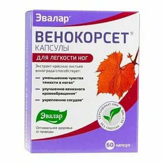 Венокорсет