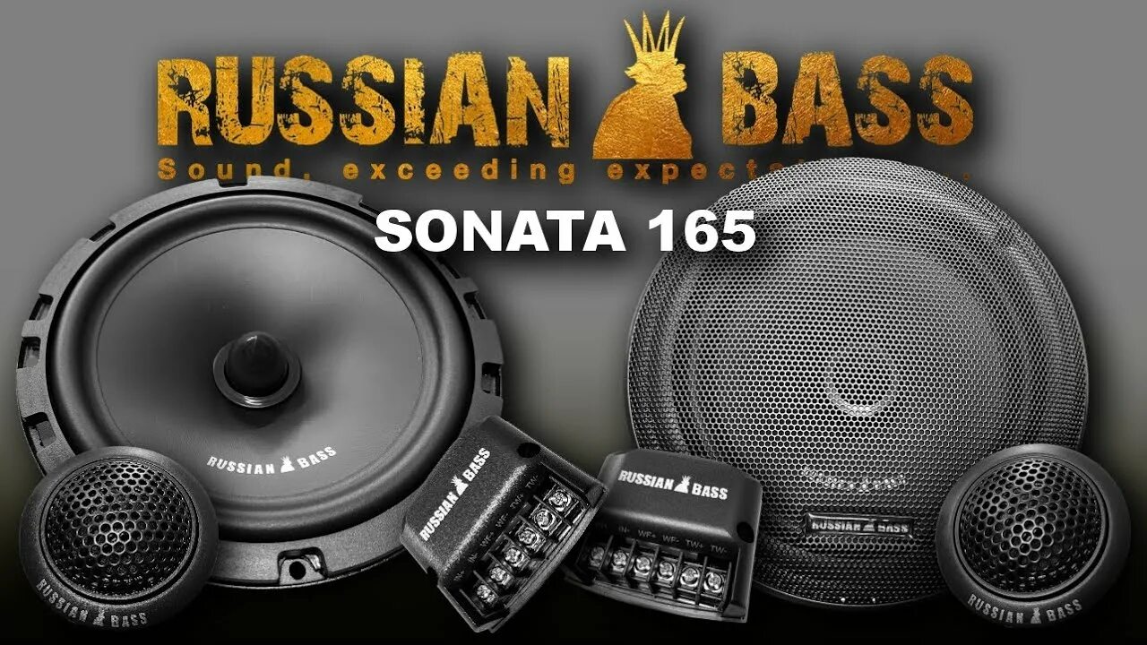 Sonata 165. Russian Bass Sonata 165. М165st Russian Bass. Рашен бас 200 РБФ.