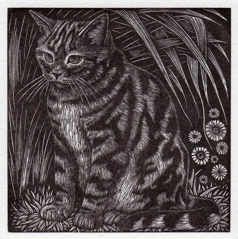 Гравюры с котами. Гравюры с котами. Линогравюра кошка. Линогравюра кот. Линогравюра кот.