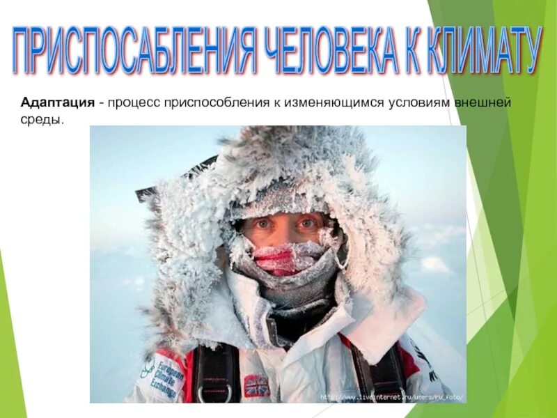 Как человек адаптируется к климатическим условиям. Адаптация человека. адаптация к климату. адаптация к климатическим условиям. адаптация человека к климату.