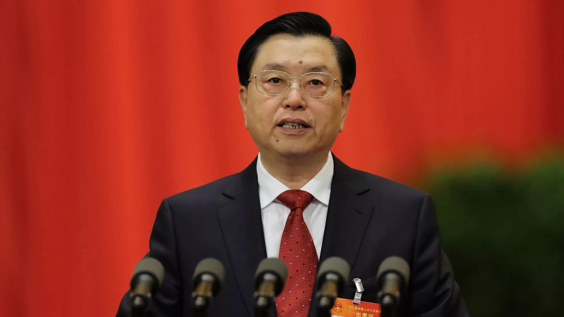 Committee chairman didn t. Чжан дэцзян. чжан пэнчунь. chairman of committee. npc chinese.