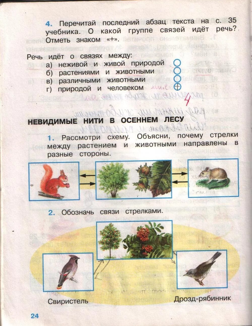 Гдз окружающий мир 2 класс рабочая тетрадь Плешаков невидимые нити. Невидимые нити 2 класс окружающий мир рабочая тетрадь ответы. Невидимые нити 2 класс рабочая тетрадь ответы Плешаков. Невидимые нити 2 класс окружающий рабочая тетрадь ответы. Плешаков рабочая тетрадь второй класс ответы