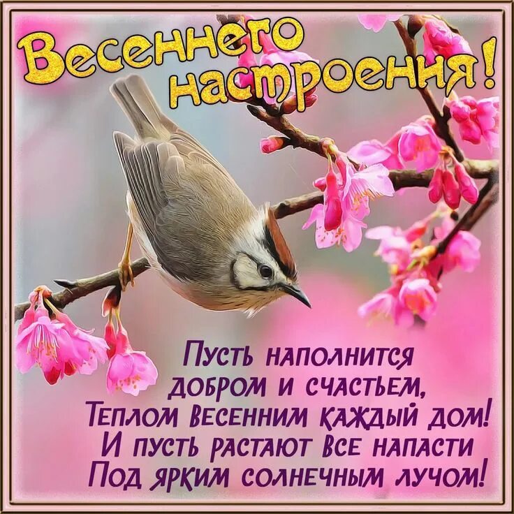 Пусть жизнь наполняется