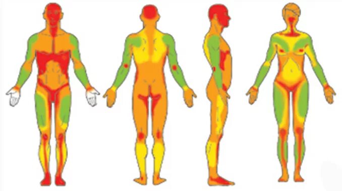 Насколько больно делать. Карта боли тату. Точки боли тату. Больные места для татуировок. Зоны боли тату.