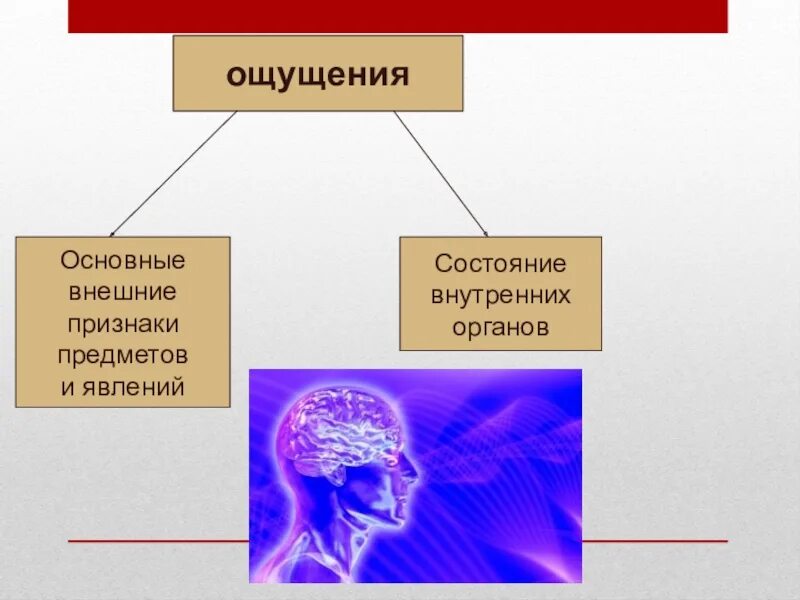 Внутреннее состояние важнее внешнего
