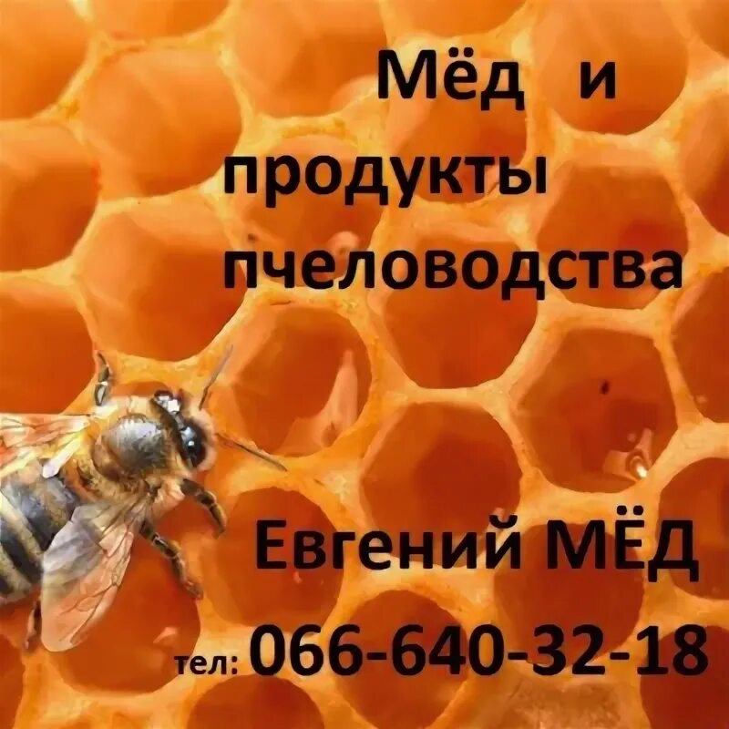 Honey vk. Мёд Ростов на Дону.