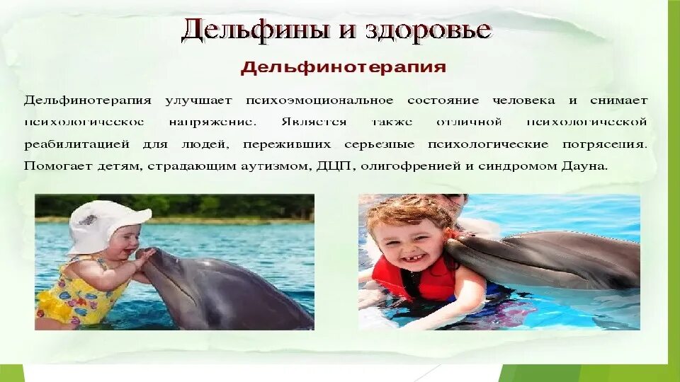Что значит дельфин. Что символизирует дельфин. символ дельфина. значение дельфина. дельфины что символизирует.