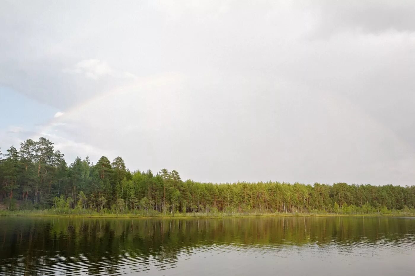 Озеро Рой Сосновский район Нижегородская. Озеро Родионово Сосновский район. Сосновское Нижегородской области озеро Родионово. Озеро Родионово Сосновский район Нижегородская область. Сосновское нижегородской области озера