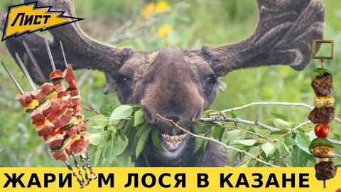 Лосятина в казане