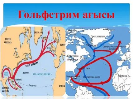 В каких океанах проходит гольфстрим