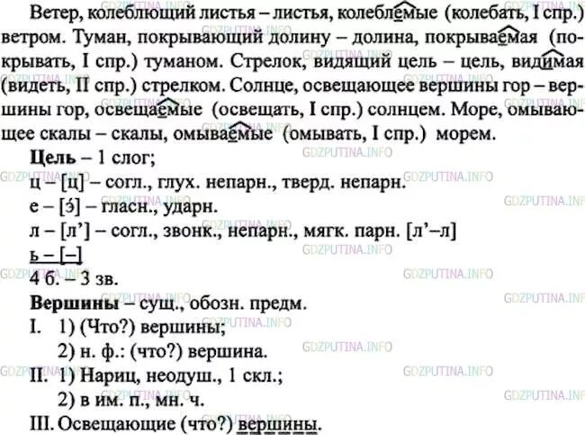 Русский язык 7 класс ладыженская 121. Русский язык 7 класс упражнение 121.
