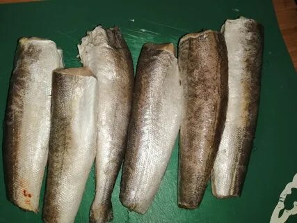 Хек фото рыбы