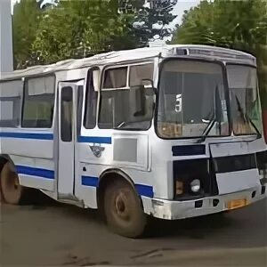автобус березки