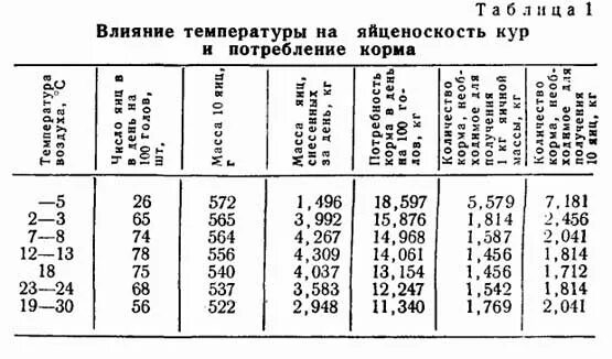 Температура курья