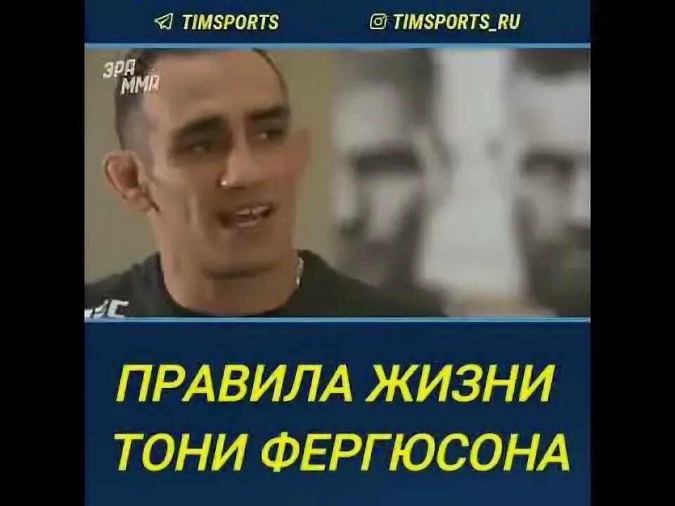 Тони где родился. Тони где родился. Тони где родился. Тони где родился. Тони где родился.