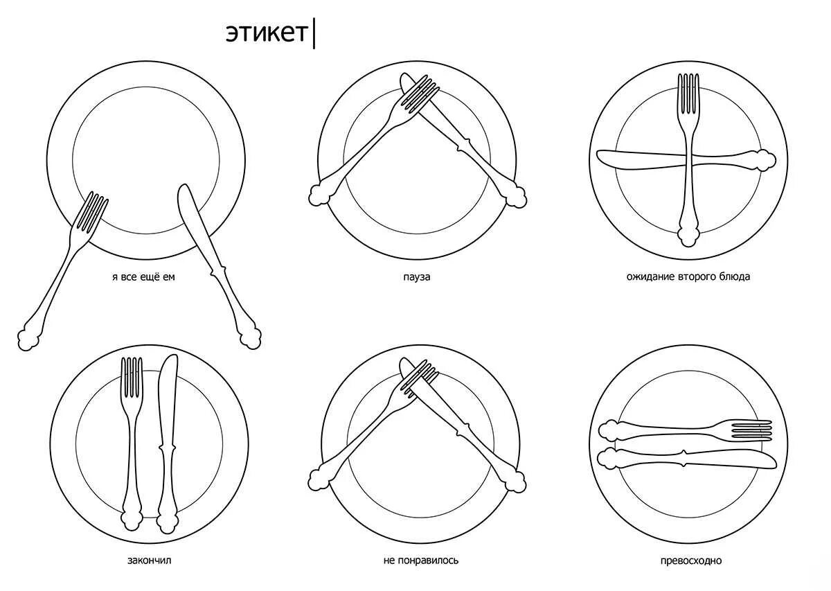 Столовый этикет приборы. Этикет за столом столовые приборы после еды в ресторане. Столовый этикет приборы на тарелке. Расположение столовых приборов на тарелке. Как держать нож и вилку по этикету