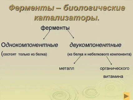 Ферменты биологические катализаторы 10 класс биология