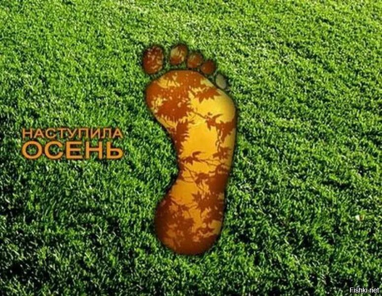 Путания нет