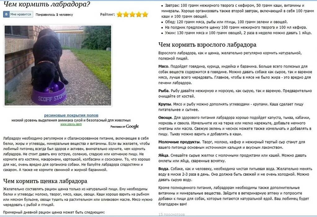Что можно давать щенку в месяц. Диета для щенка лабрадора 2 месяца. рацион питания щенка лабрадора 3 месяца. рацион щенка лабрадора 3 месяца. меню для щенка лабрадора 2 месяца.