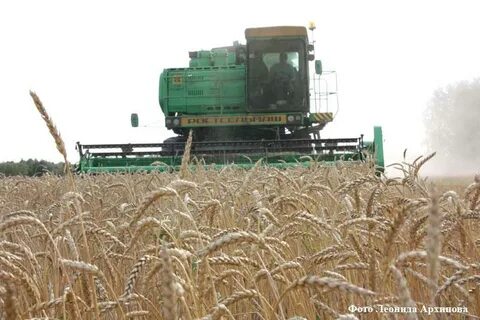 Курганская область хозяйство