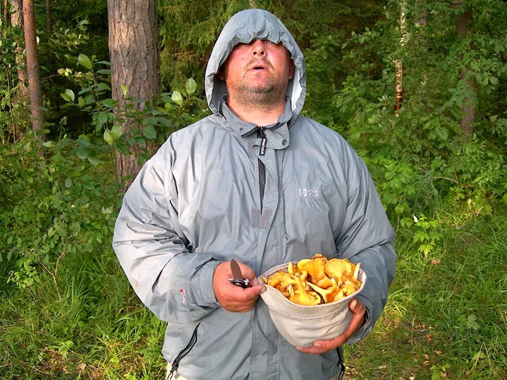 Сбор грибов в тайге. Смешной грибник. Про грибников. Сбор грибов. Грибник.