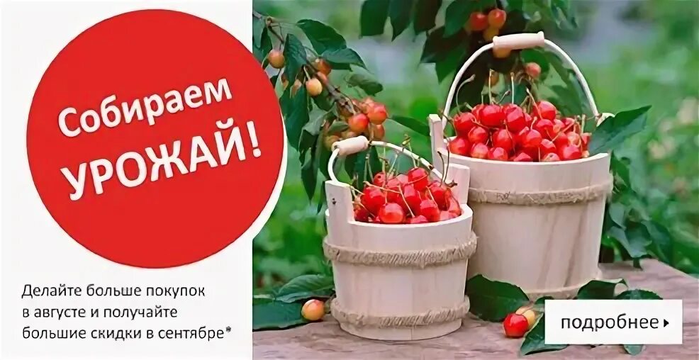 Дни покупок в августе