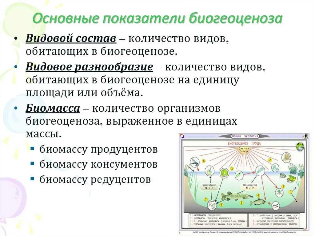 Роль организмов в биогеоценозе. Основные показатели экосистемы. Основные показатели биогеоценоза. Биогеоценоз, его структура и функции.. Функции биогеоценоза.